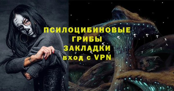 твердый Алексин