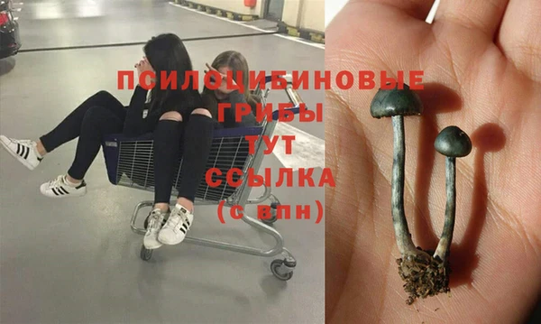 твердый Алексин