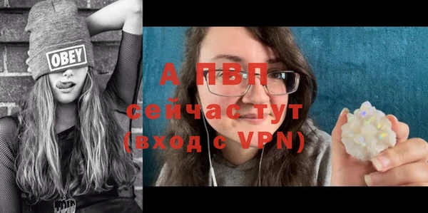 твердый Алексин