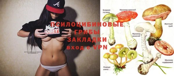 твердый Алексин